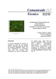 Thumbnail de Curtobacterium flaccumfaciens pv. flaccumfaciens Murcha bacteriana do feijoeiro e da soja: alto risco de disseminação no Brasil.