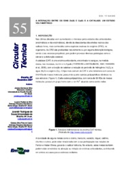 Thumbnail de A interação entre os íons Zn(II) e Cu(II) e a catalase. um estudo voltamétrico.