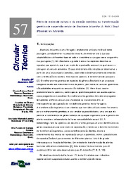 Thumbnail de Efeito de meios de cultura e da pressão osmótica na transformação genética de suspensão celular de Brachiaria brizantha (A. Rich.) Stapf (Poaceae) cv. Marandu.