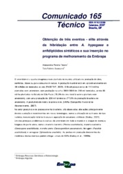 Thumbnail de Obtenção de três eventos-elite através da hibridação entre A. hypogaea e anfidiplóides sintéticos e sua inserção no programa de melhoramento da Embrapa.