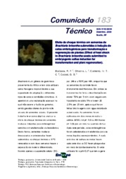 Thumbnail de Efeito de choque térmico em sementes de Brachiaria brizantha submetidas à indução de calos embriogênicos para transformação e regeneração de plantas.