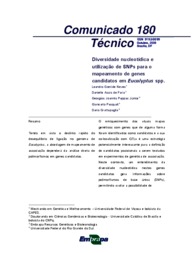 Thumbnail de Diversidade nucleotídica e utilização de SNPs para o mapeamento de genes candidatos em Eucalyptus spp.