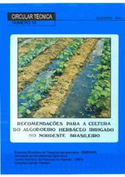 Thumbnail de Recomendações para a cultura do algodoeiro herbáceo irrigado no nordeste brasileiro.