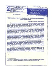 Thumbnail de Técnicas de poda na cultura do algodoeiro arbóreo(mocó) precoce.