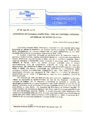 Thumbnail de Ocorrência de Cyrtonemus mirabilis(Perty, 1836) (HETEROPTERA: CYDNIDAE) em Rodelas, no Estado da Bahia.