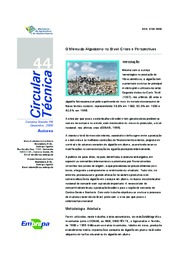 Thumbnail de O mercado algodoeiro no Brasil: crises e perspectivas.