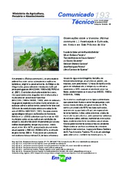 Thumbnail de Observações sobre a Mamona (Ricinus communis L.) Asselvajada e Cultivada, em Areia e em Solo Próximo do Mar.