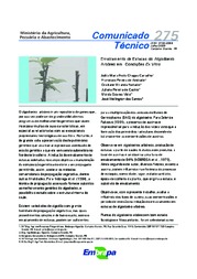 Thumbnail de Enraizamento de estacas do algodoeiro arbóreo em condições ex vitro.