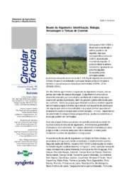 Thumbnail de Bicudo do algodoeiro: identificação, biologia, amostragem e táticas de controle.