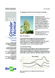 Thumbnail de El agronegocio del cultivo de tartago en el mundo.