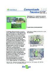 Thumbnail de Crescimento e desenvolvimento da mamoneira (Ricinus communis L.).