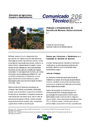 Thumbnail de Produção e armazenamento de sementes de mamona (Ricinus communis L.).