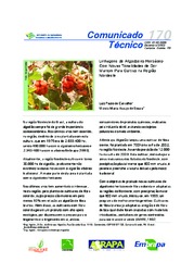 Thumbnail de Linhagens de algodoeiro herbáceo com novas tonalidades de cor marrom para cultivo na região nordeste.