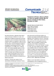 Thumbnail de Populações de plantas e época de plantio na cultura do algodão colorido BRS 200 marrom no Estado do Mato Grosso, município de Colider.