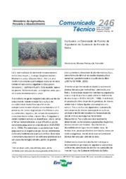 Thumbnail de Cultivares vs densidade de plantio de algodoeiro no Sodoeste do estado da Bahia.