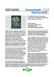Thumbnail de Formação do sistema Radicular de plantas de Pinhão Manso propagadas por mudas, estacas e sementes.