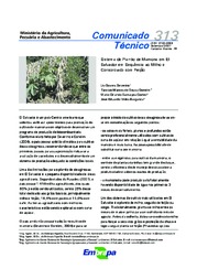 Thumbnail de Sistema de plantio de mamona em El Salvador em sequência ao milho e consorciado com feijão.