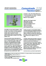 Thumbnail de Indução in vitro de múltiplos brotos em eixos embrionários de Arachis hipogaea L. Utilizando-se citocinina 6-Benzilaminopurina (BAP).