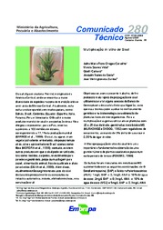 Thumbnail de Multiplicação in vitro de sisal.