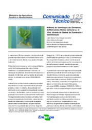 Thumbnail de Melhoria da germinação das sementes de mamoneira (Ricinus comunis L.) in vitro, através da quebra de dormência e desinfestação.