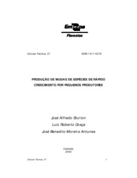 Thumbnail de Produção de mudas de espécies de rápido crescimento por pequenos produtores.