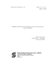 Thumbnail de Primeiro registro de ataque de Sirex noctilio em Pinus taeda no Brasil.