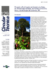 Thumbnail de Floração e frutificação da cerejeira-do-mato, em áreas fragmentadas da floresta ombrófila mista, no município de Colombo, PR.
