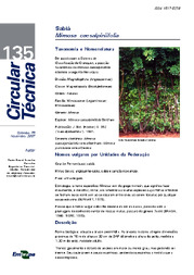 Thumbnail de Sabiá - Mimosa caesalpiniifolia.