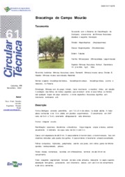 Thumbnail de Bracatinga de Campo Mourão.