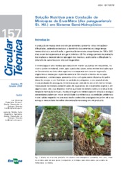 Thumbnail de Solução nutritiva para condução de minicepas de erva-mate (Ilex paraguariensis St. Hil.) em sistema semi-hidropônico.