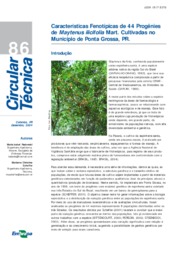 Thumbnail de Características fenotípicas de 44 progênies de Maytenus ilicifolia Mart. cultivadas no Município de Ponta Grossa, PR.