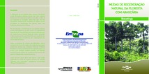 Thumbnail de Mudas de regeneração natural da floresta com araucária: bracatinga.