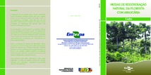 Thumbnail de Mudas de regeneração natural da floresta com araucária: cedro.