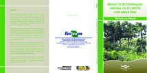 Thumbnail de Mudas de regeneração natural da floresta com araucária: pinheiro-do-Paraná.