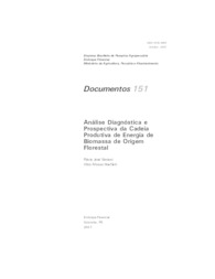 Thumbnail de Análise diagnóstica e prospectiva da cadeia produtiva de energia de biomassa de origem florestal.