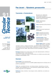 Thumbnail de Pau-jacaré - Piptadenia gonoacantha.