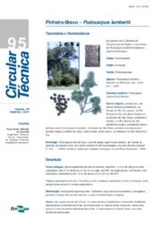 Thumbnail de Pinheiro-Bravo: Podocarpus lambertii.