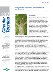 Thumbnail de Propagação vegetativa de liquidambar por enxertia.