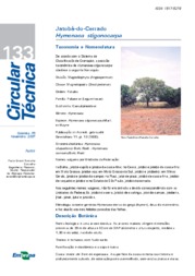 Thumbnail de Jatobá-do-cerrado - Hymenaea stigonocarpa.