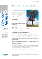 Thumbnail de Grinalda-de-Noiva (Cassia leptophylla).