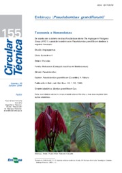 Thumbnail de Embiruçu (Pseudobombax grandiflorum).