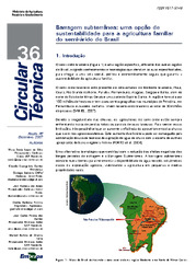 Thumbnail de Barragem subterrânea: uma opção de sustentabilidade para a agricultura familiar do semi-árido do Brasil.