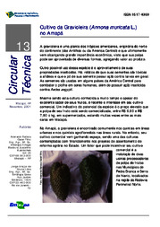 Thumbnail de Cultivo da gravioleira (Annona muricata L.) no Amapá.