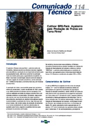 Thumbnail de Cultivar BRS-Pará: açaizeiro para produção de frutos em terra firme.