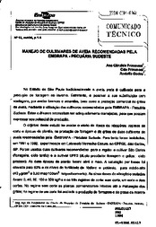 Thumbnail de Manejo de cultivares de aveia recomendadas pela EMBRAPA - Pecuária Sudeste.