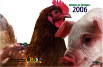 Thumbnail de Relatório de atividades 2006.