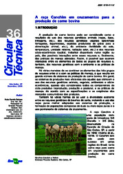 Thumbnail de A raça Canchim em cruzamentos para a produção de carne bovina.