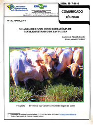 Thumbnail de Silagem de capim como estratégia de manejo intensivo de pastagens.