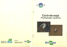 Thumbnail de Coró-da-soja Phyllophaga cuyabana.