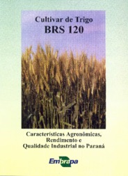 Thumbnail de Cultivar de trigo BRS 120: características agronômicas, produtividade e qualidade industrial no Estado do Paraná.